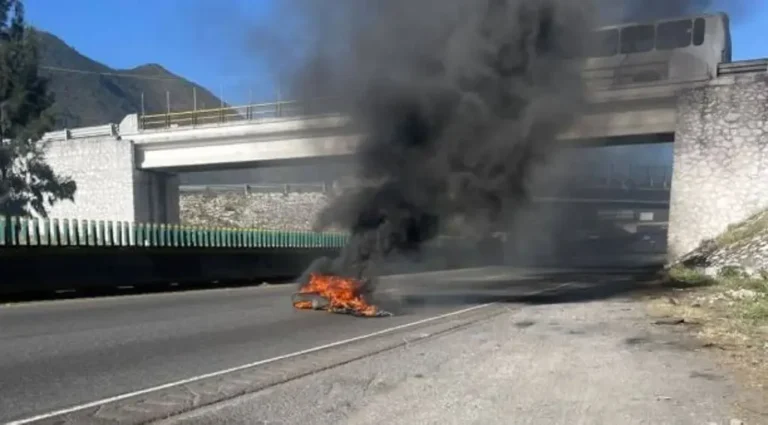 1408535xeu20260225113432