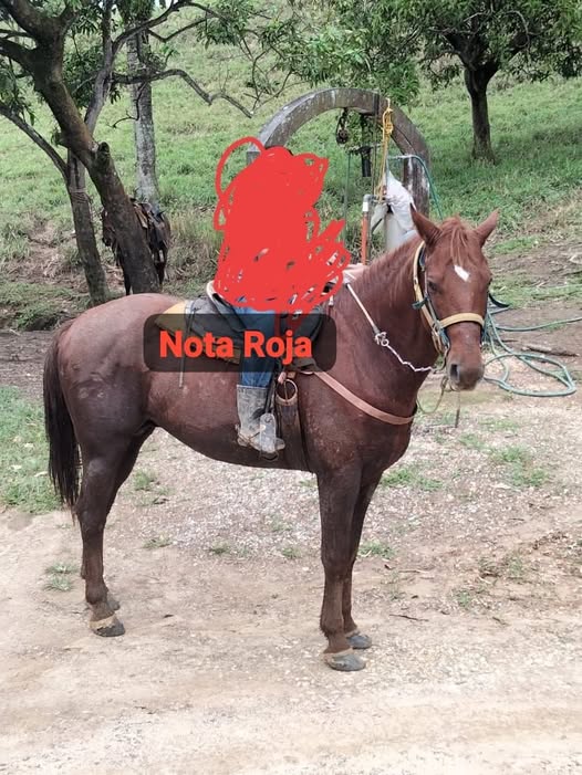 640071576_936570978891468_5814358502203289496_n