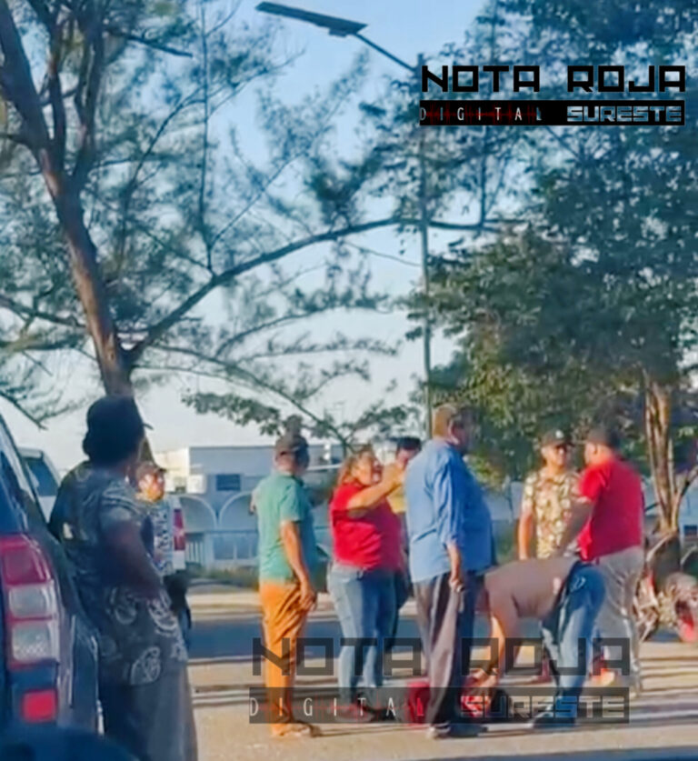 InShot_20260225_213746532