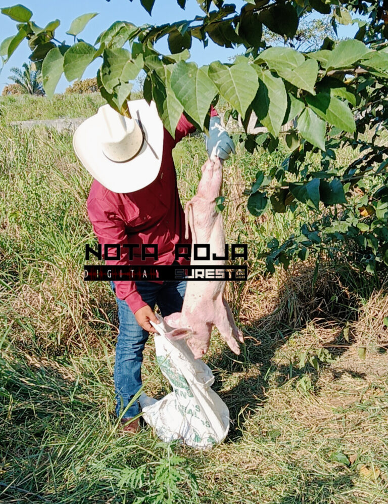 InShot_20260227_185235859