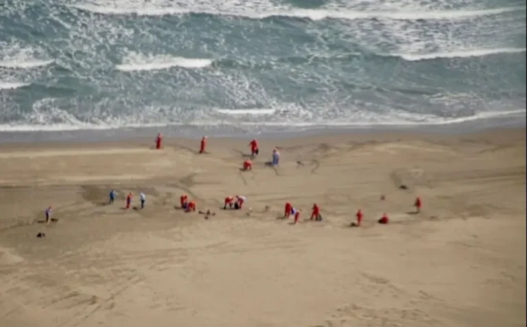 1410879xeu20260315191117