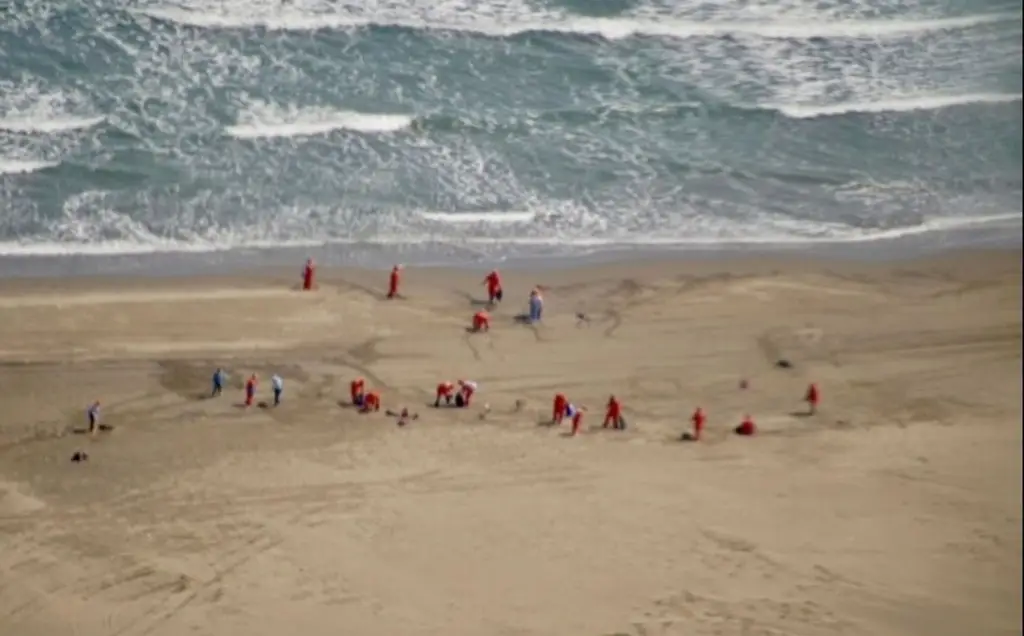 1410879xeu20260315191117