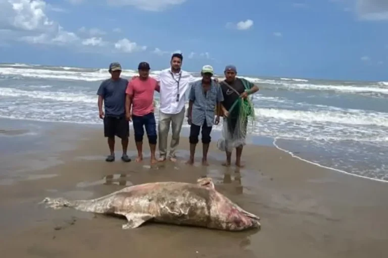 1410960xeu20260316131722