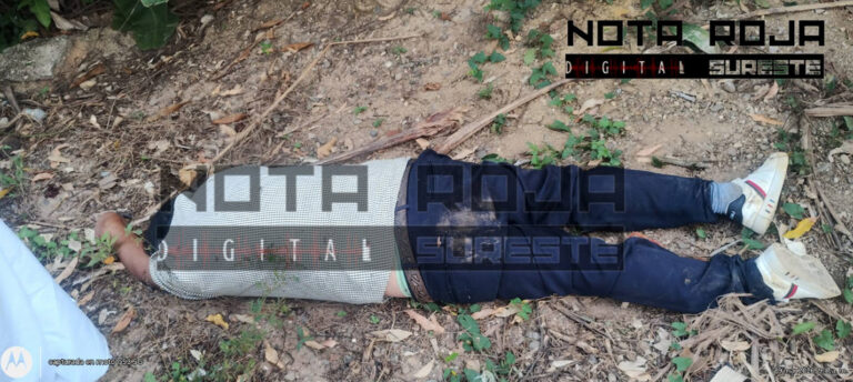 649204445_945873767961189_6087958797941648852_n