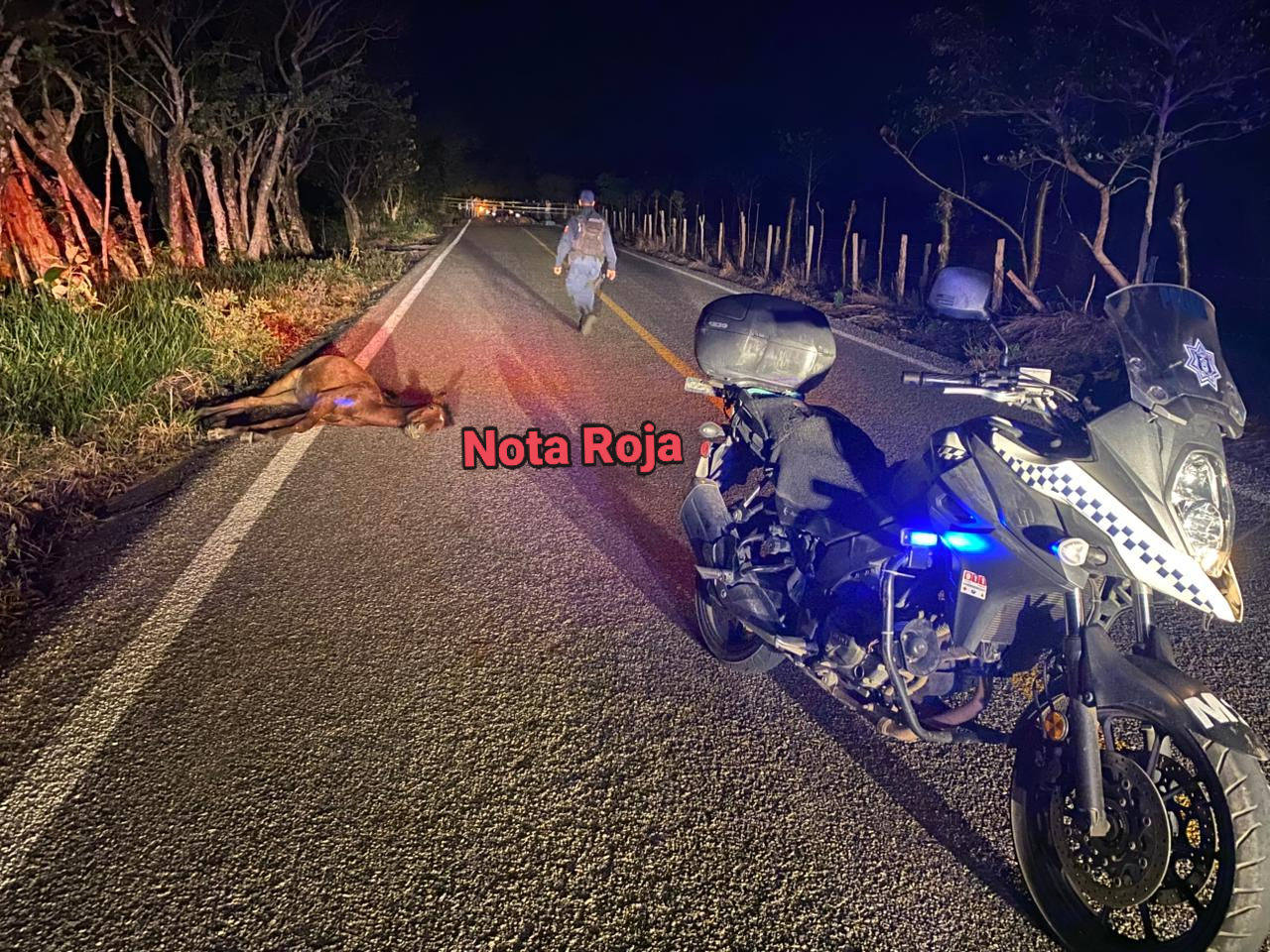 649262566_945500604665172_187891022539506378_n