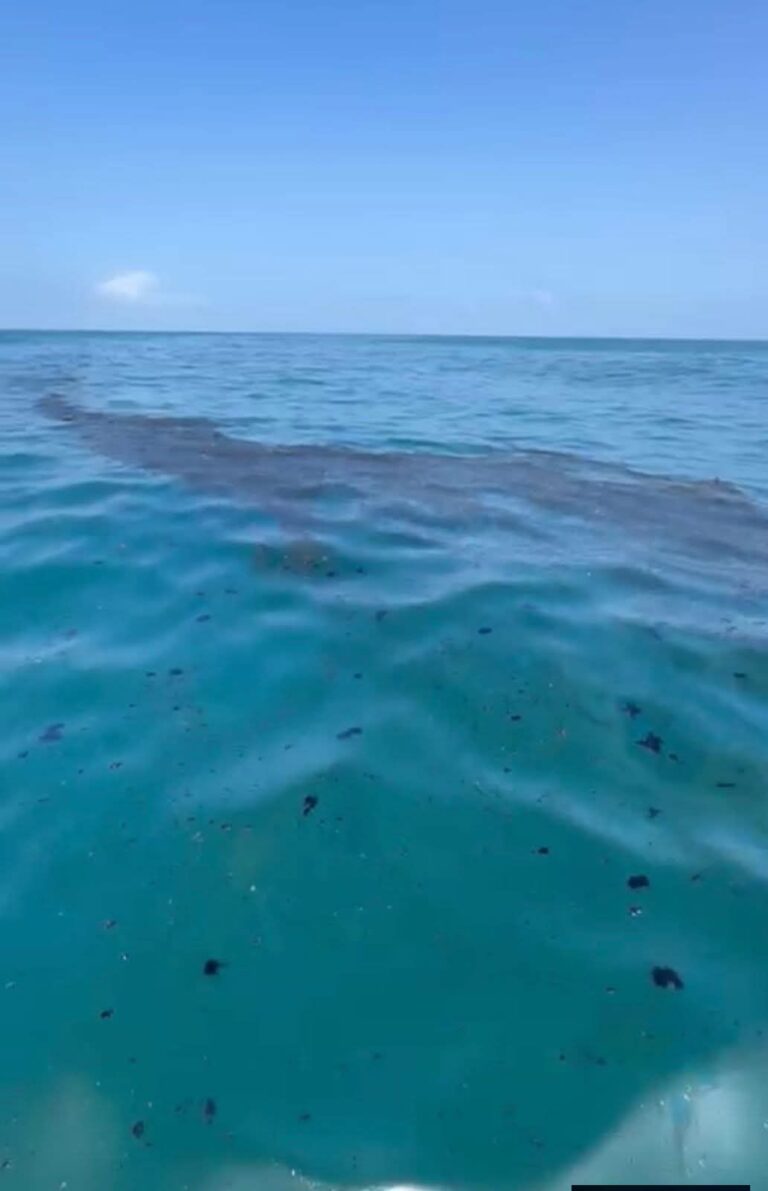 649363138_946605061221393_7409782675325404878_n