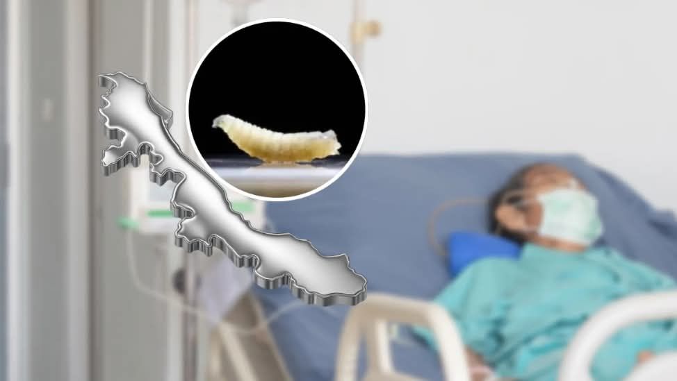 649770922_947460601135839_7694632013171331050_n