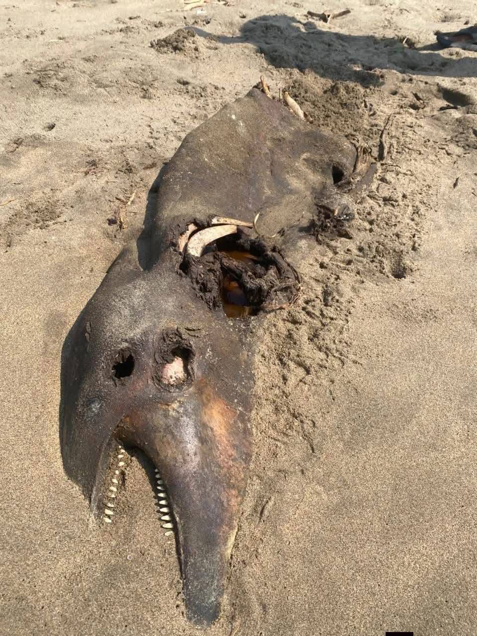 650405252_941506355068370_3455905481704422079_n