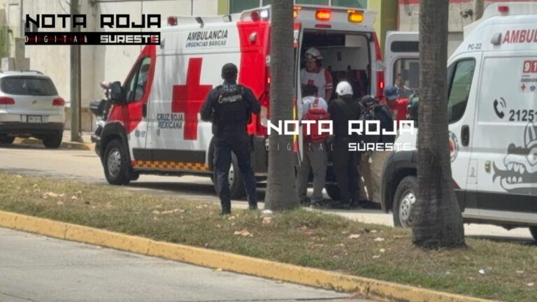 WhatsApp Image 2026-03-03 at 2.36.07 PM (1)