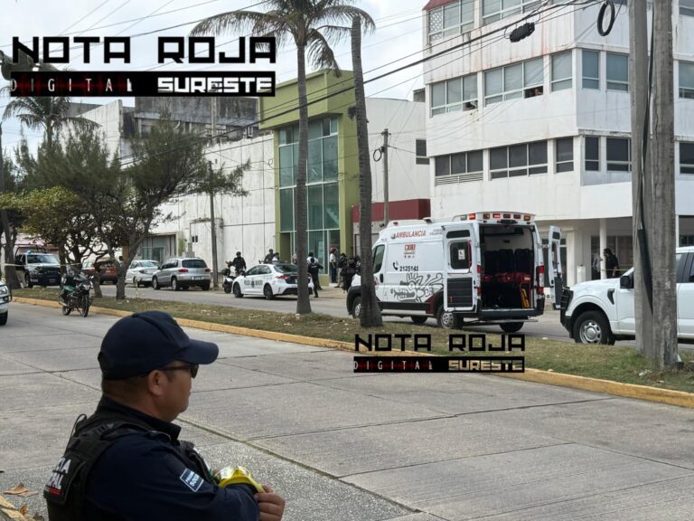 WhatsApp Image 2026-03-03 at 2.36.07 PM