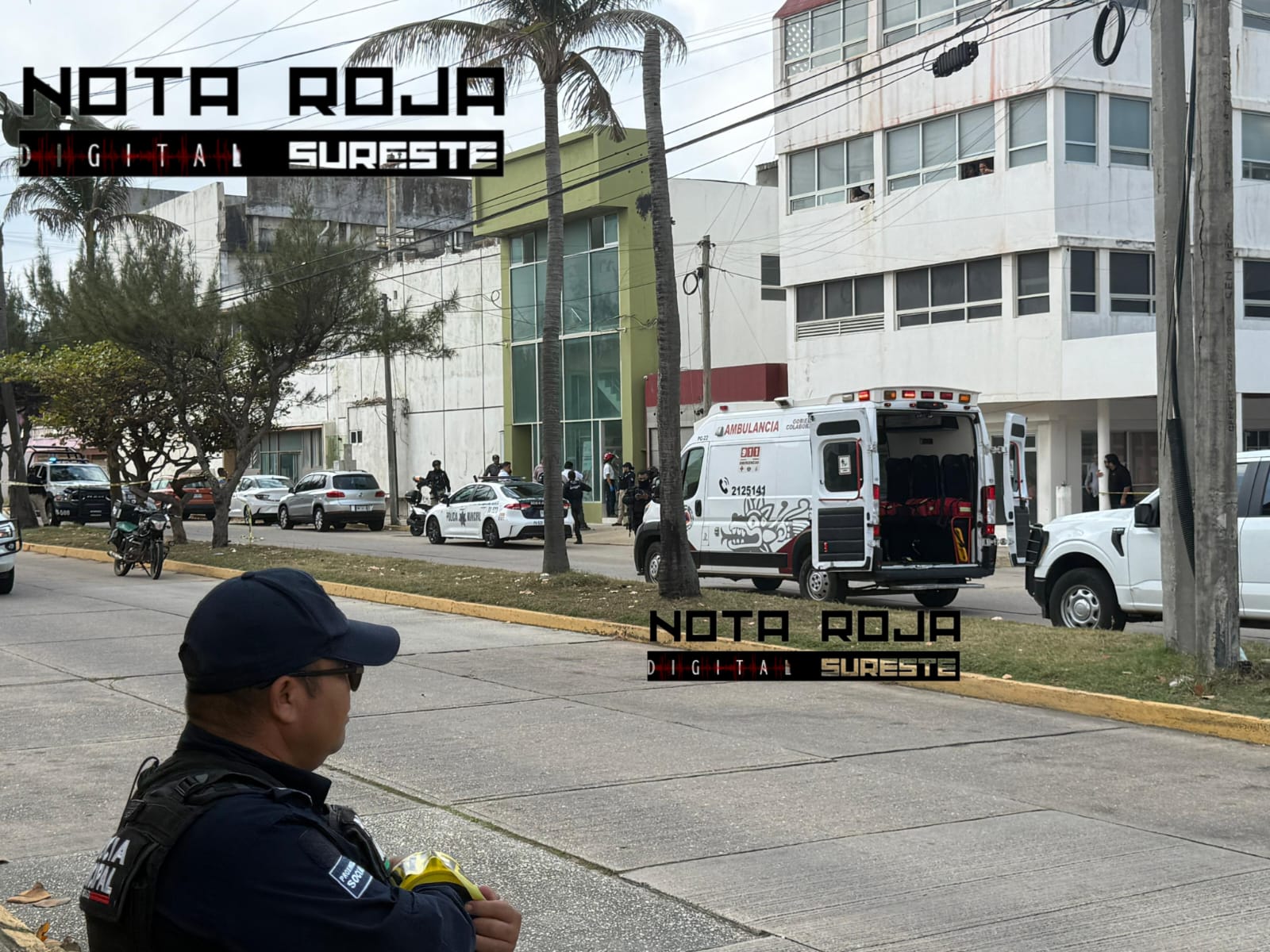 WhatsApp Image 2026-03-03 at 2.36.07 PM