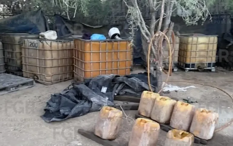 1413011xeu20260401153238