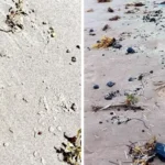 1413427xeu20260405081004