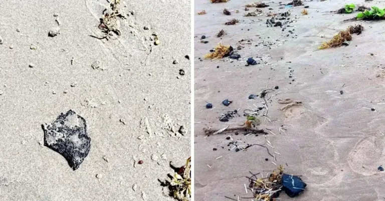 1413427xeu20260405081004