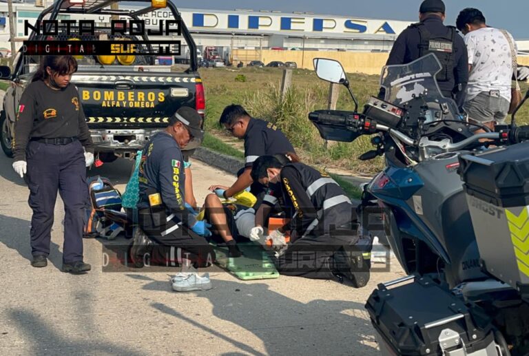 WhatsApp Image 2026-04-02 at 11.39.24 AM